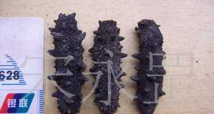 長島海參供應與價格解析 廠家資源與銀聯安全保障